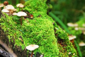 世界游艇青年赛赛事志愿者跨国交流营成果征集启动，游艇锦标赛