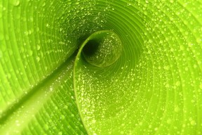 世界保龄球巡回赛城市站青少年技术讲座开课，保龄球大赛